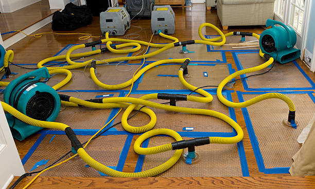 Professional Basement Flood Cleanup technician working in Agua Dulce, CA